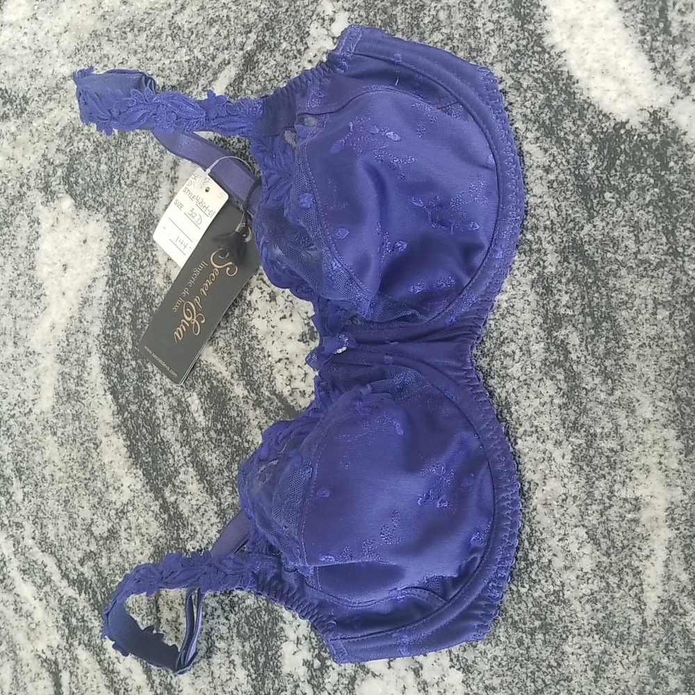 NWT ❤ Secret d' Eva Blue Sapphire ❤ 32D